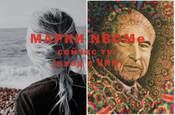 хмурый Магас