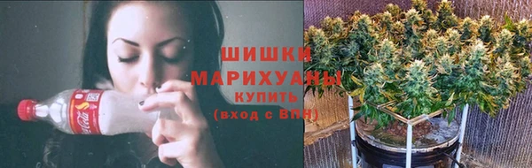 хмурый Магас