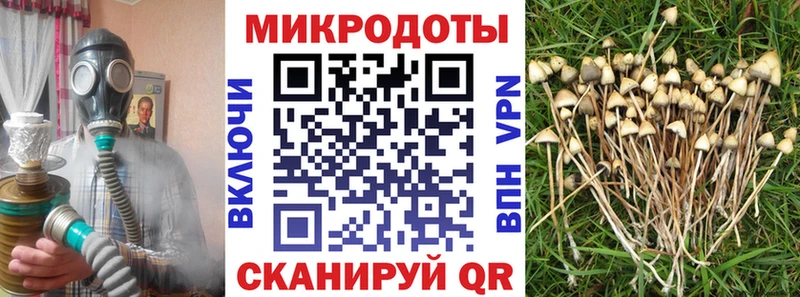 Купить  Кстово  Псилоцибиновые грибы MAGIC MUSHROOMS 